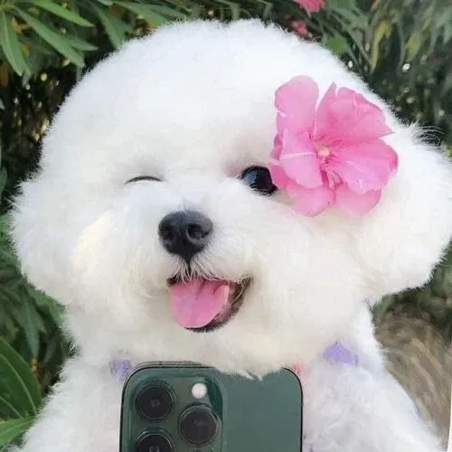 anh-avatar-cun-con-cute-17